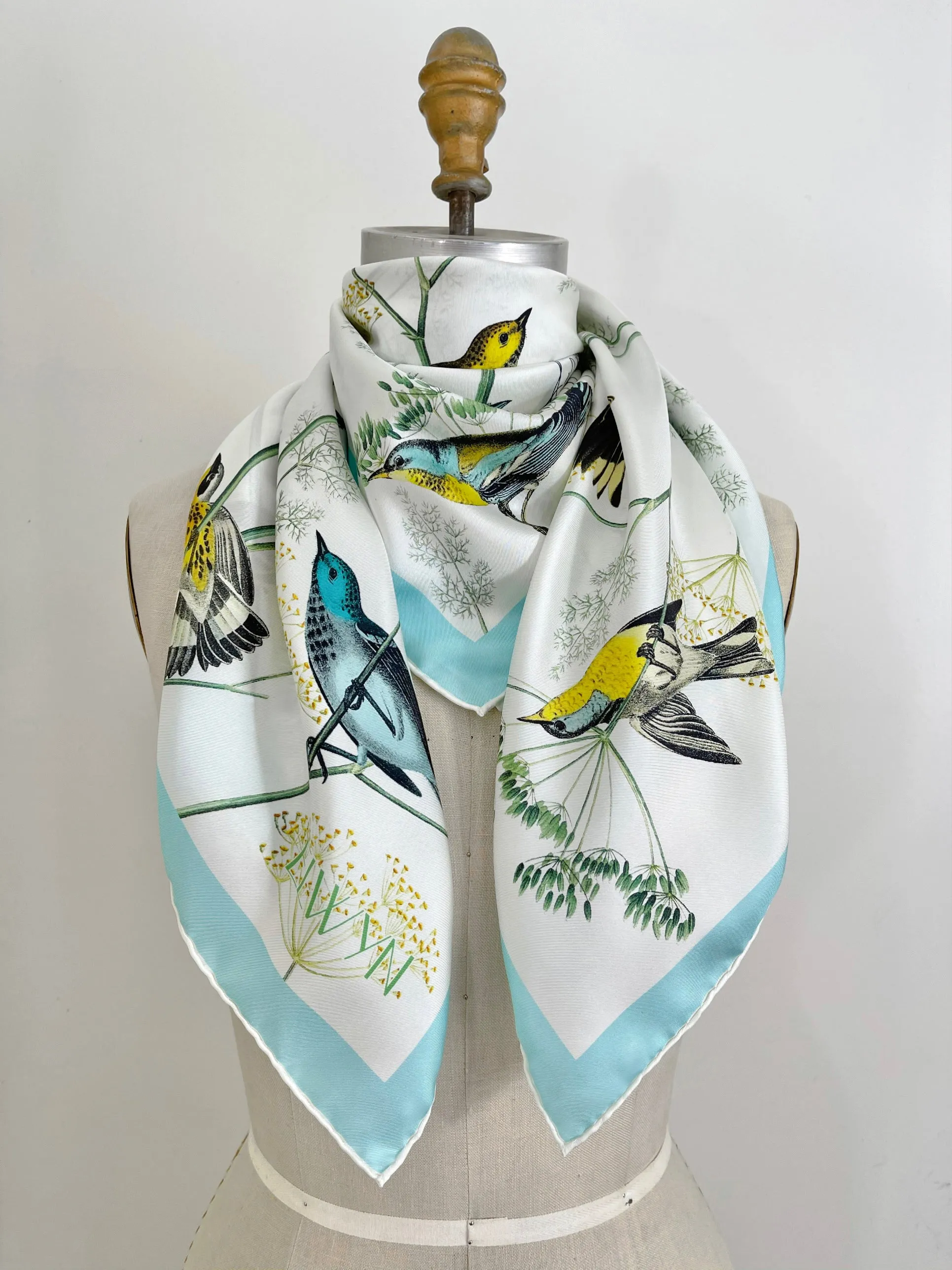 Elwyn New York Warbler's Paradise Scarf