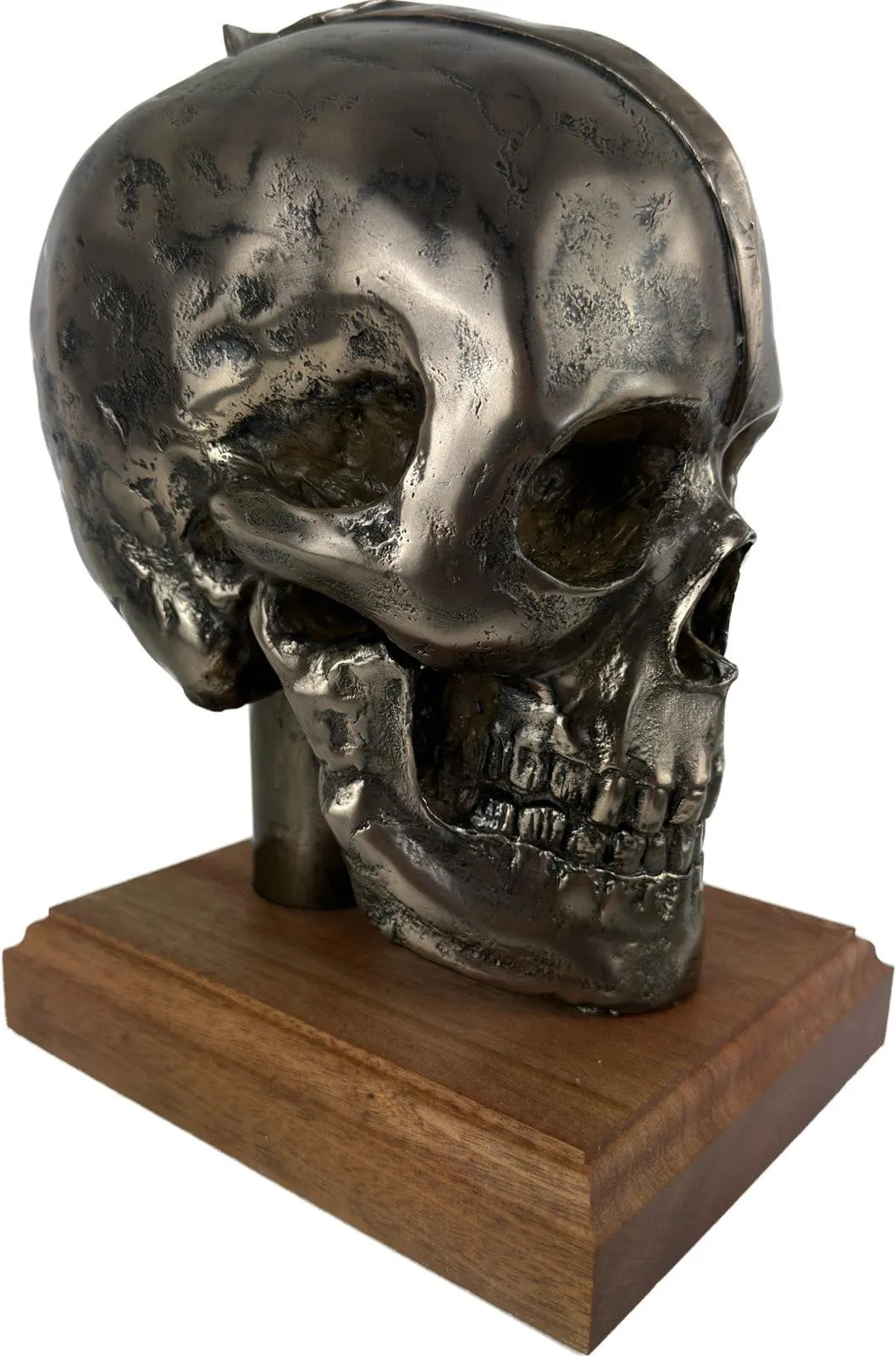 Life Size Skull Beret Hat Holder Cold Cast Bronze Statue Sculpture