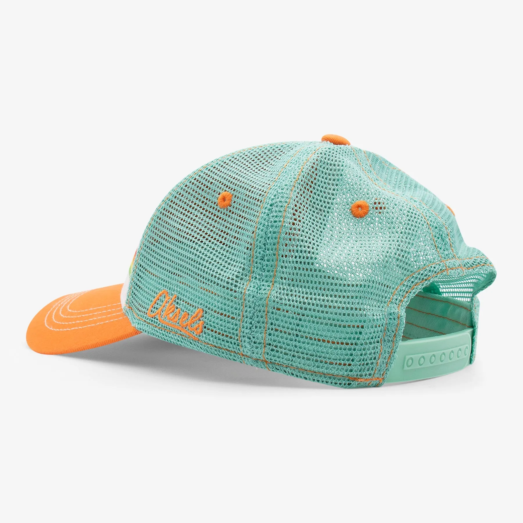 Striped Low Pro Colorado Trucker Hat